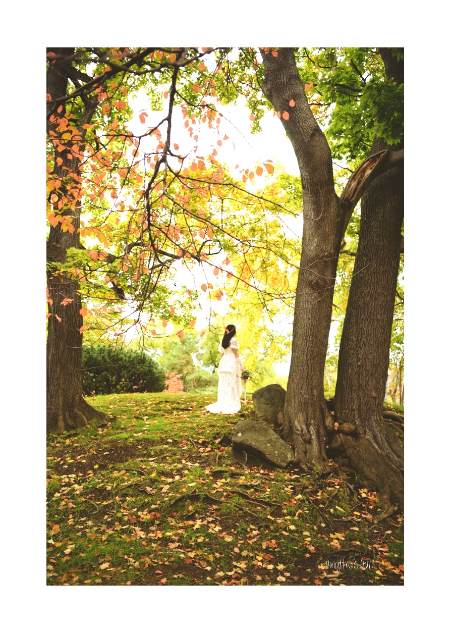 写真撮影、紅葉
